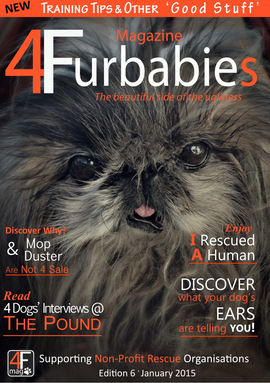 Mag 4 Furbabies Preview Pages