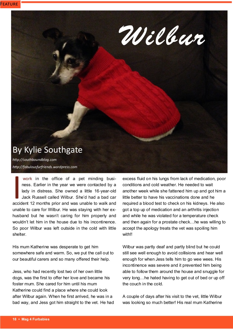 Mag 4 Furbabies Preview Pages