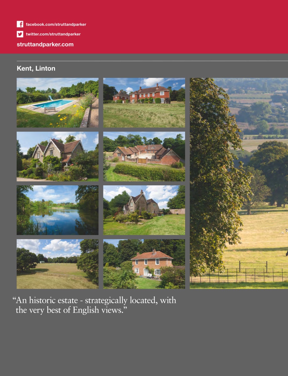 Country Life Preview Pages