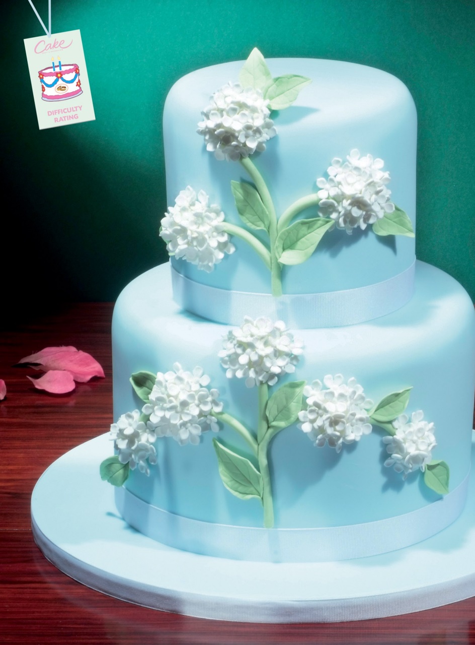 Cake Decoration & Sugarcraft Magazine Preview Pages