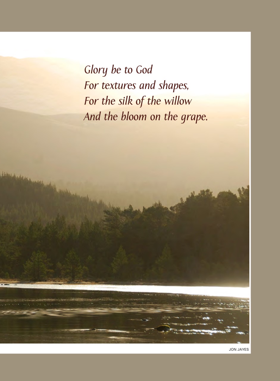 Evergreen Preview Pages