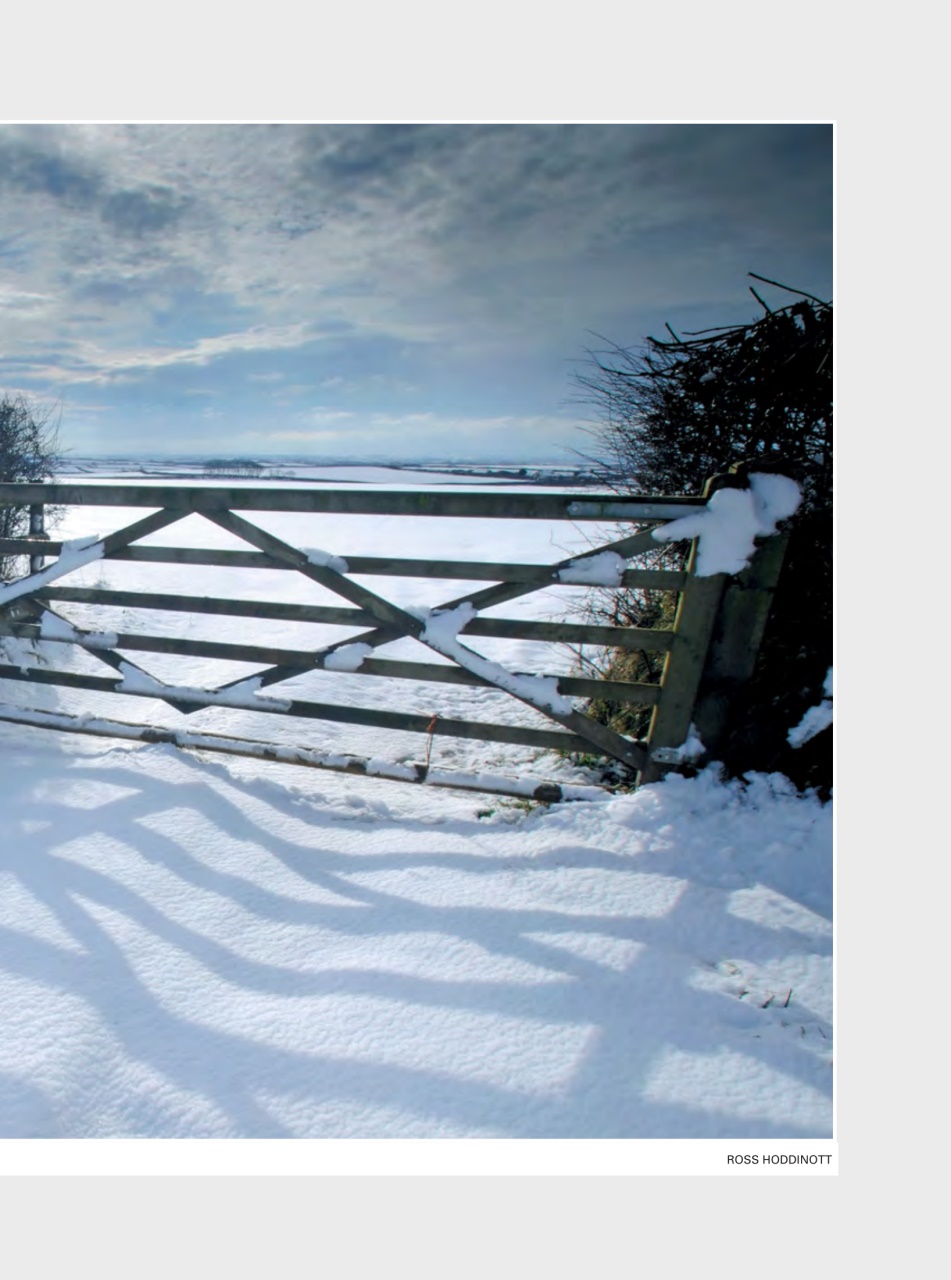 Evergreen Preview Pages