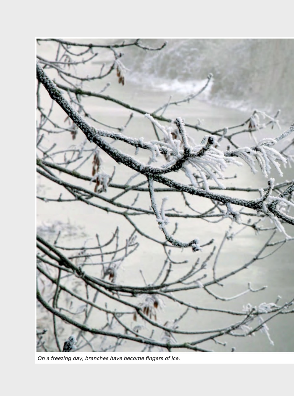 Evergreen Preview Pages