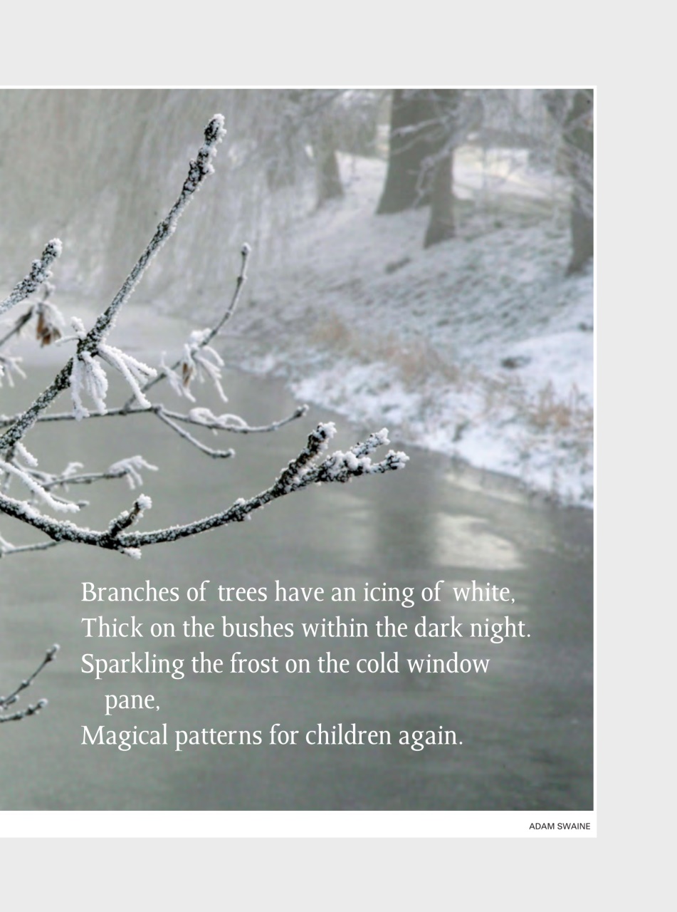 Evergreen Preview Pages