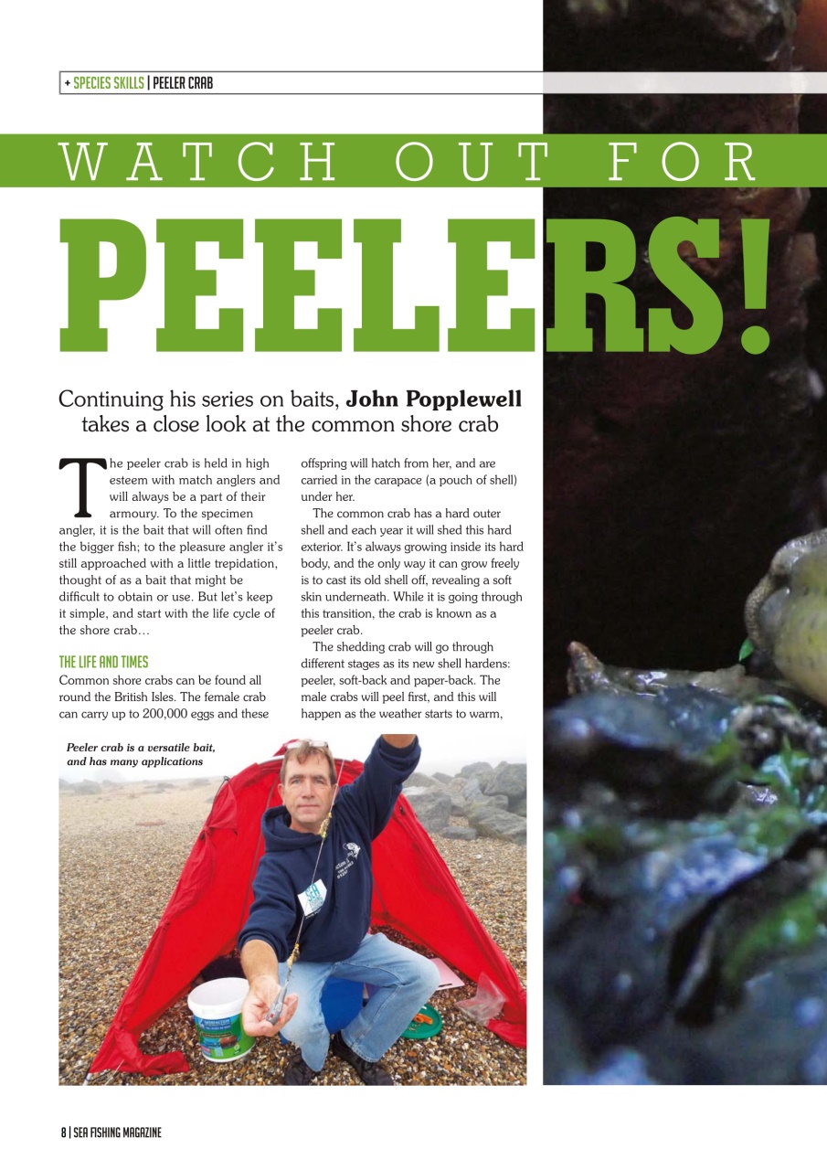 Sea Fishing Magazine Preview Pages