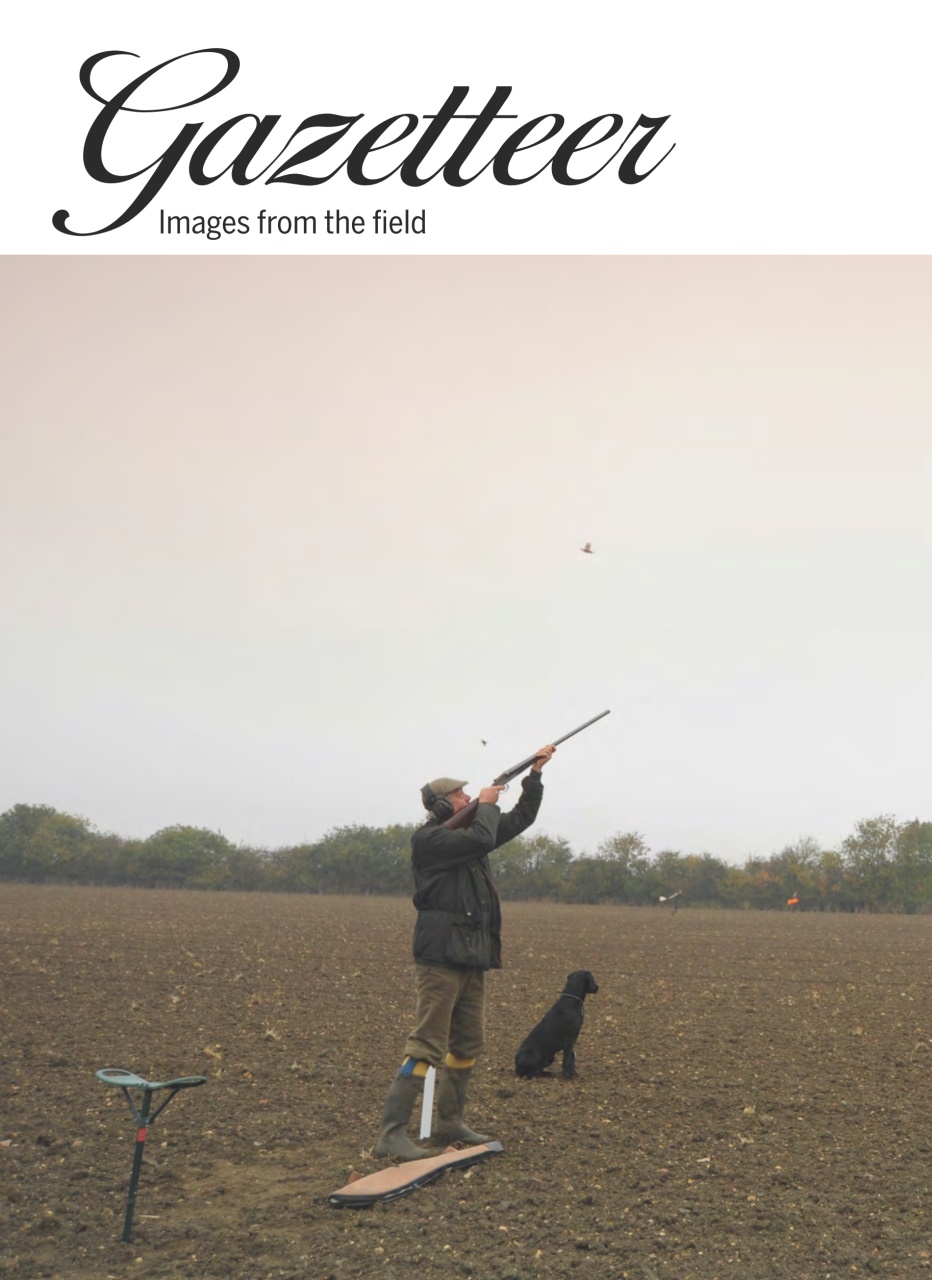 Shooting Gazette Preview Pages