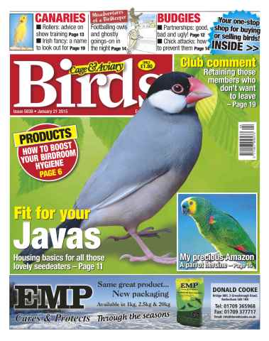 Cage & Aviary Birds issue No.5838 Fit For Your Javas