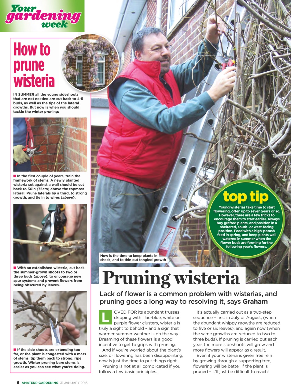 Amateur Gardening Preview Pages