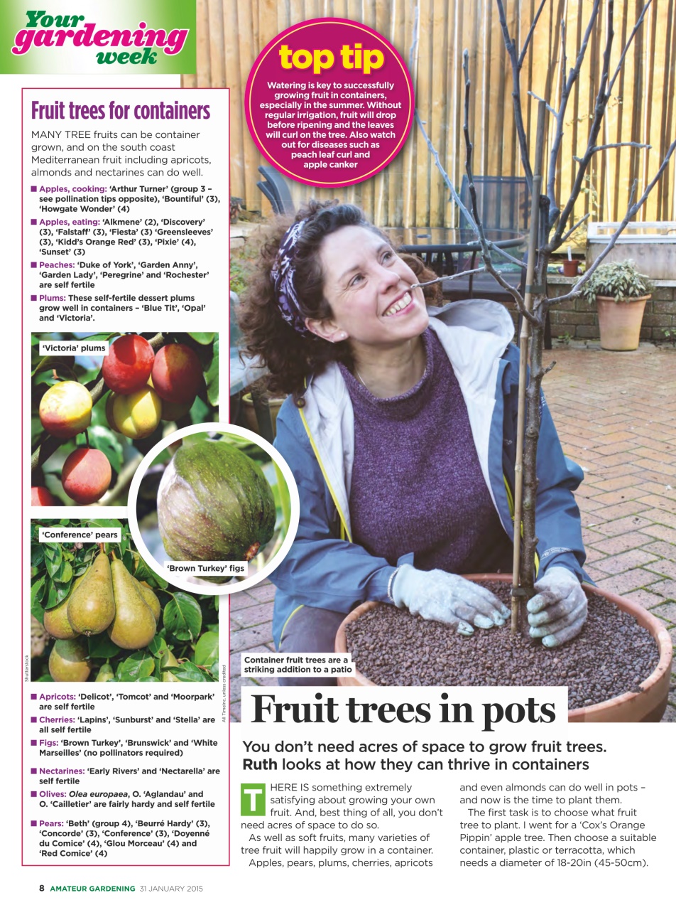 Amateur Gardening Preview Pages