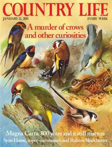Country Life issue 21st January 2015
