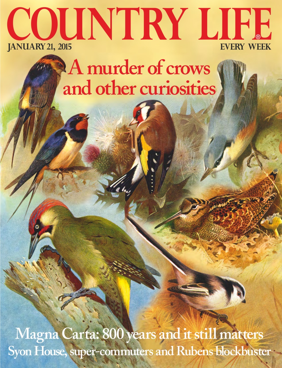 Country Life Preview Pages