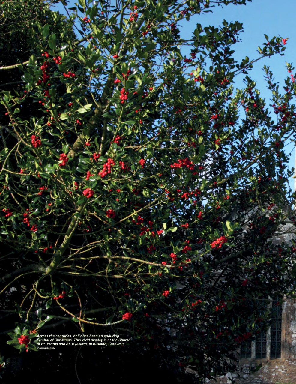 This England Preview Pages