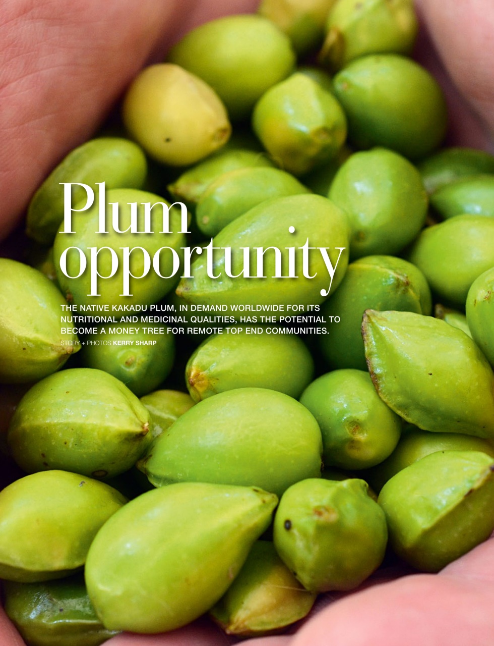 OUTBACK Magazine Preview Pages