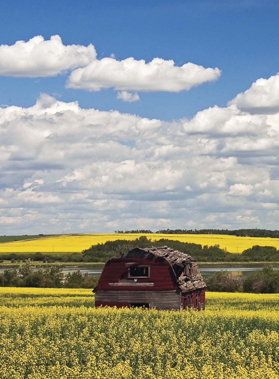 American Outdoor Guide: Boundless Preview Pages