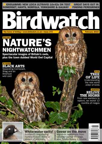 Birdwatch Magazine issue February 2015