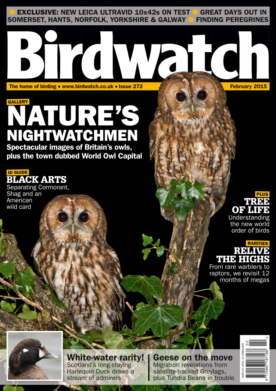 Birdwatch Magazine Preview Pages