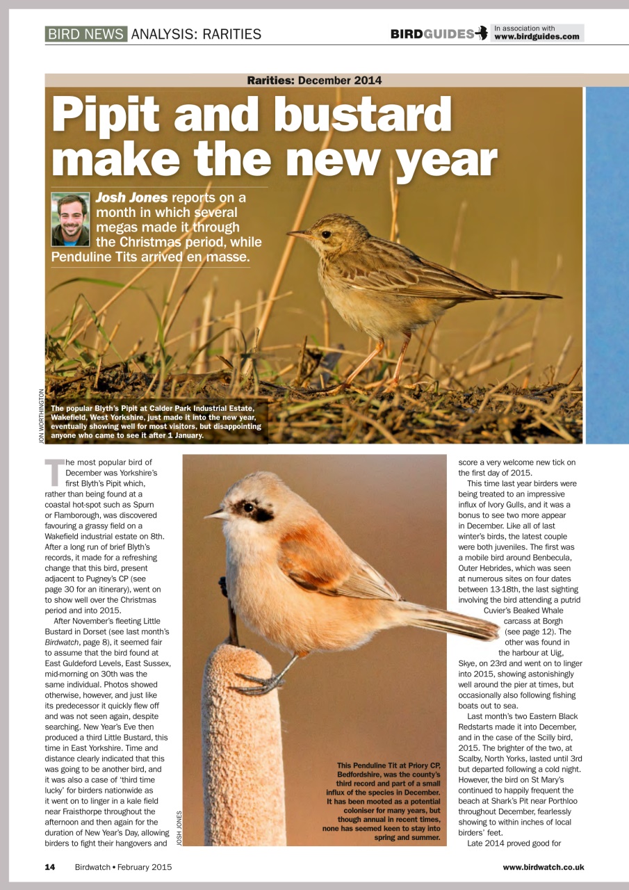 Birdwatch Magazine Preview Pages