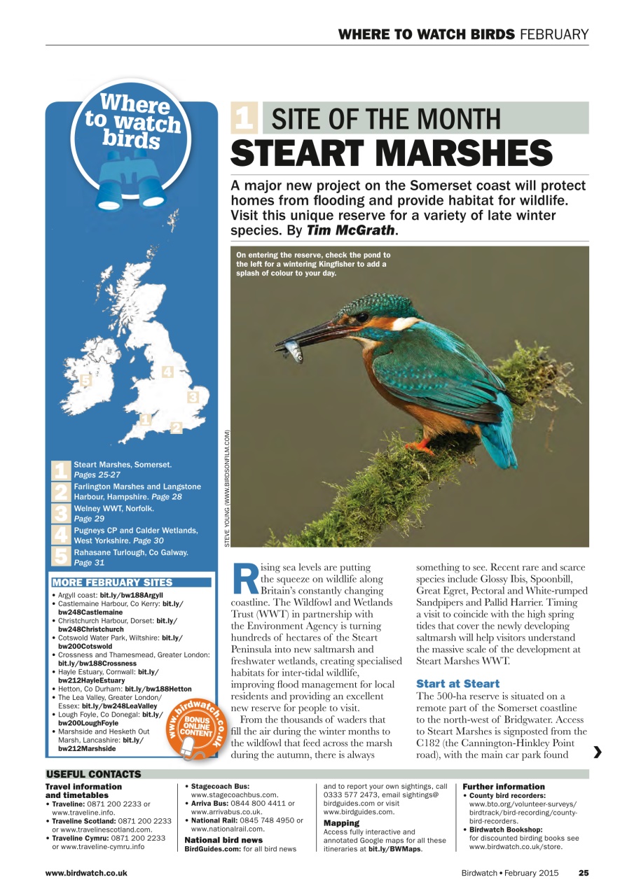 Birdwatch Magazine Preview Pages