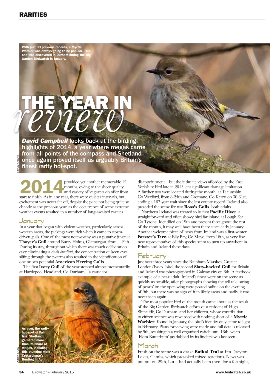 Birdwatch Magazine Preview Pages
