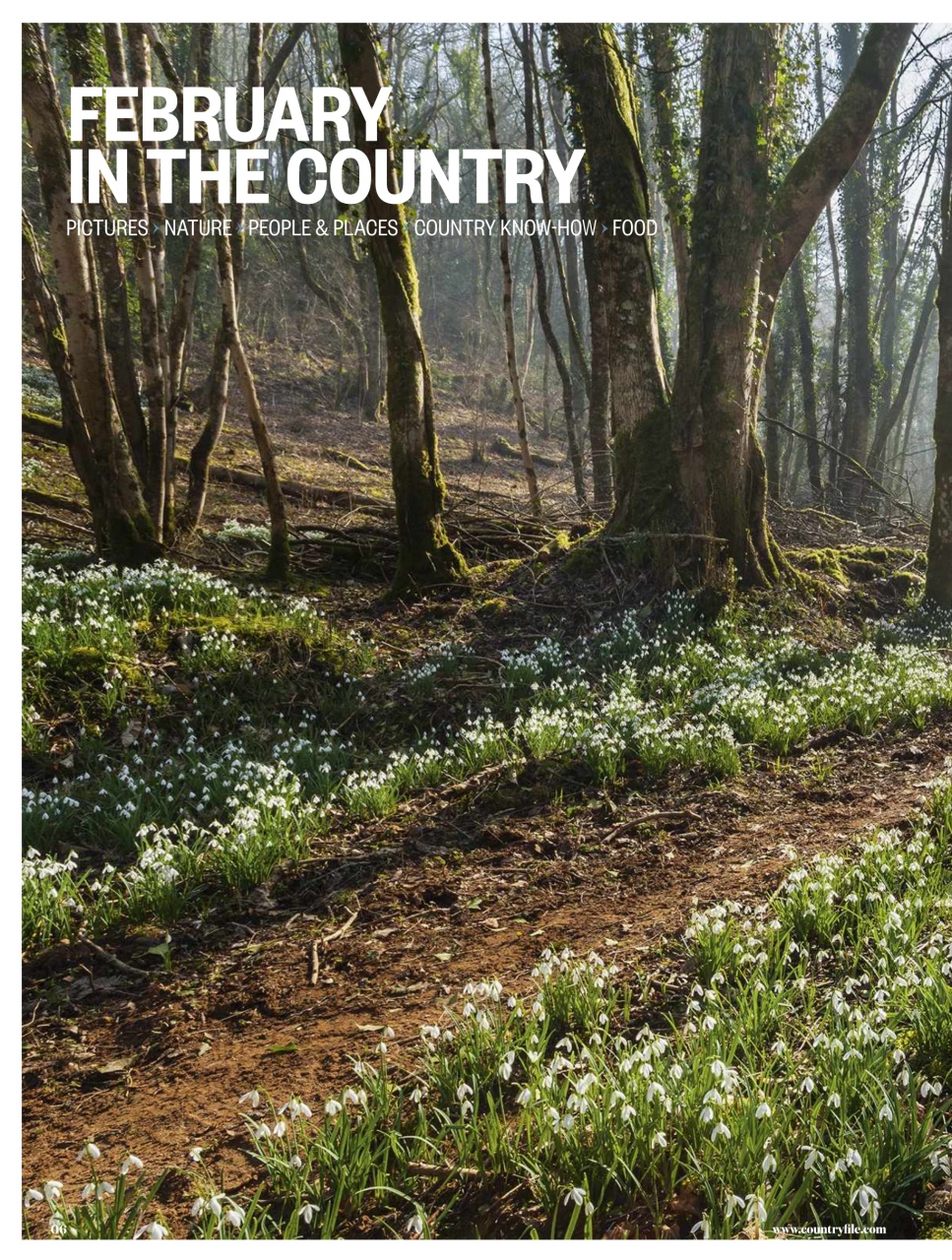 BBC Countryfile Magazine Preview Pages