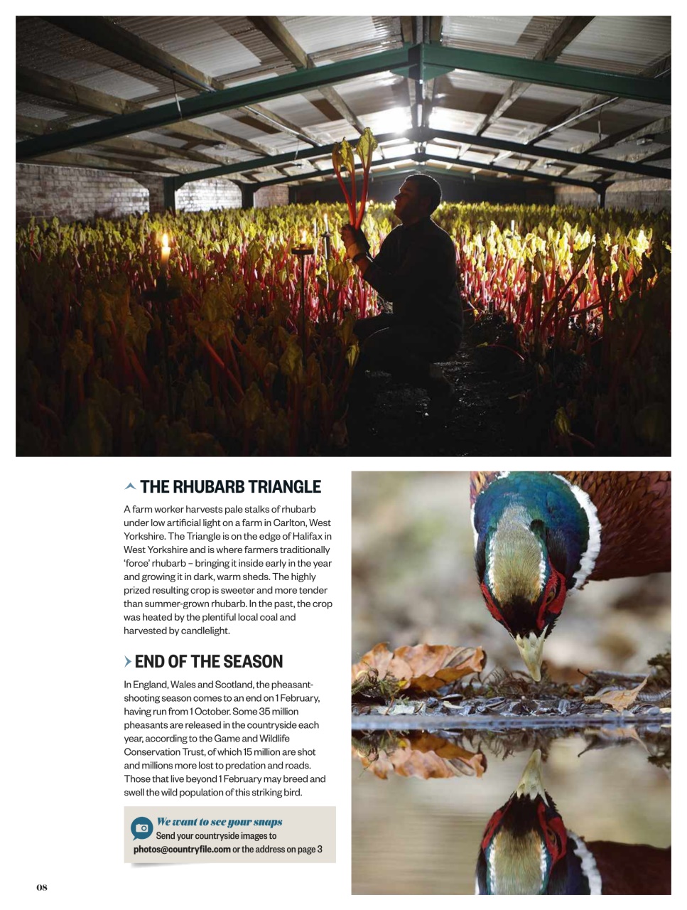 BBC Countryfile Magazine Preview Pages