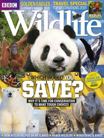 BBC Wildlife Magazine issue February 2015