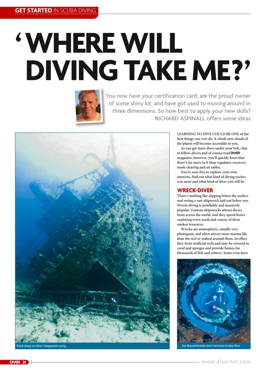 DIVER Preview Pages