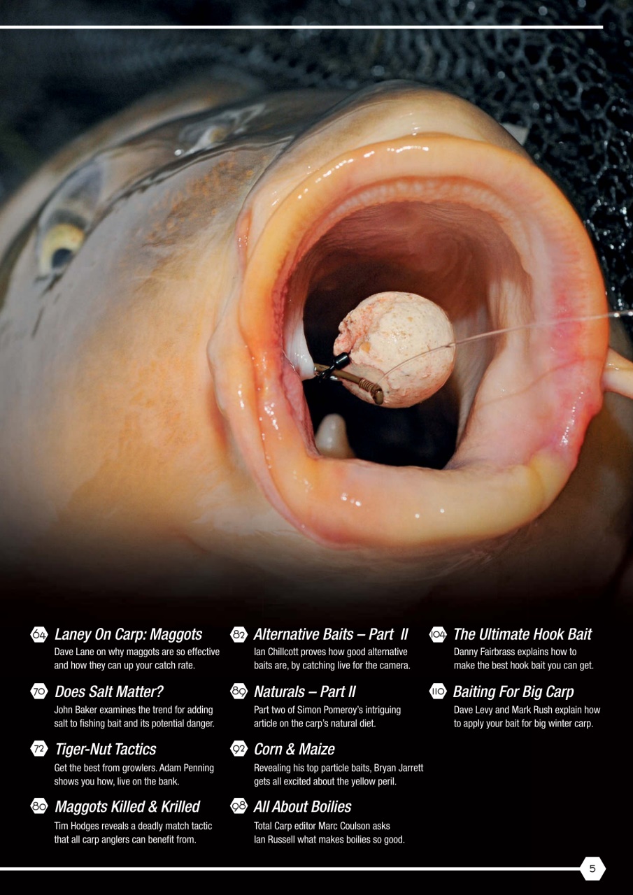 Total Carp Preview Pages