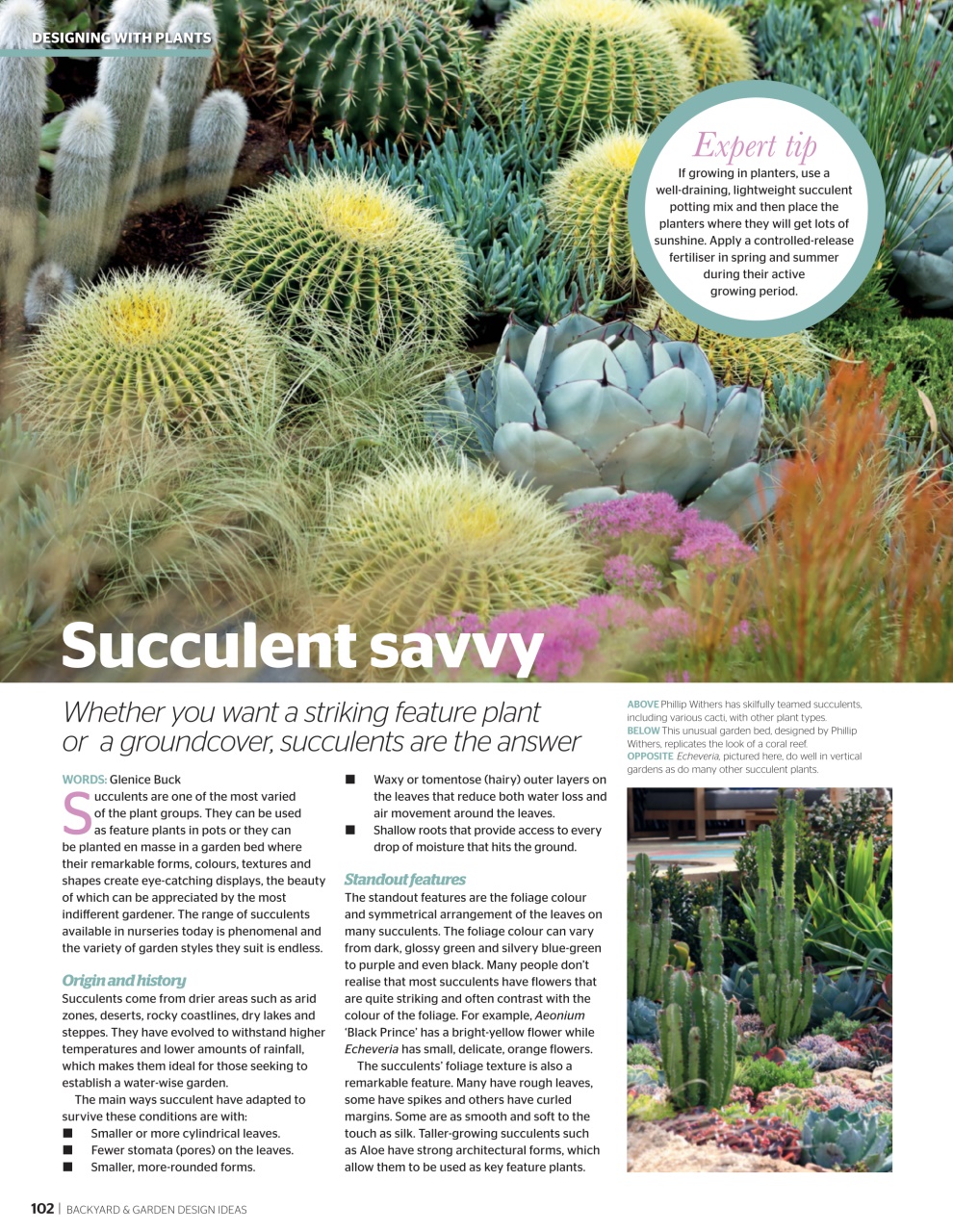 Backyard & Outdoor Living Preview Pages