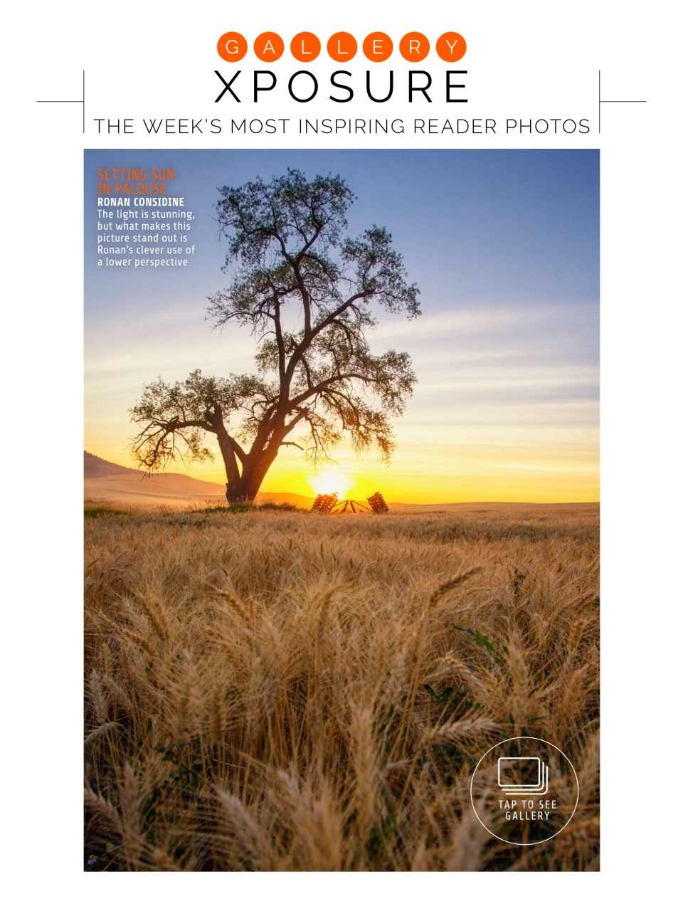 Photography Week Preview Pages