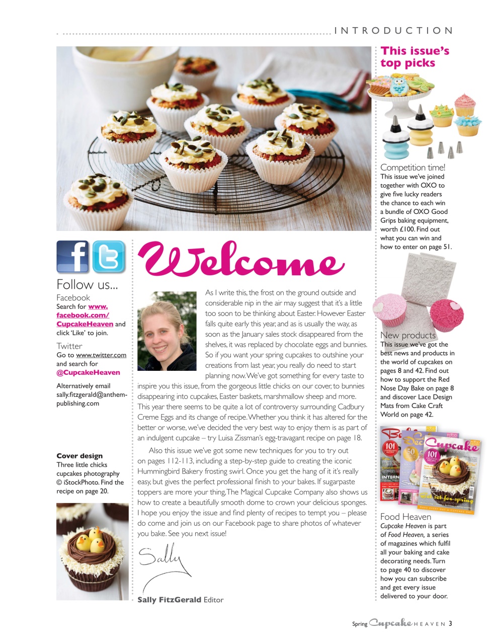 Cupcake Heaven Preview Pages