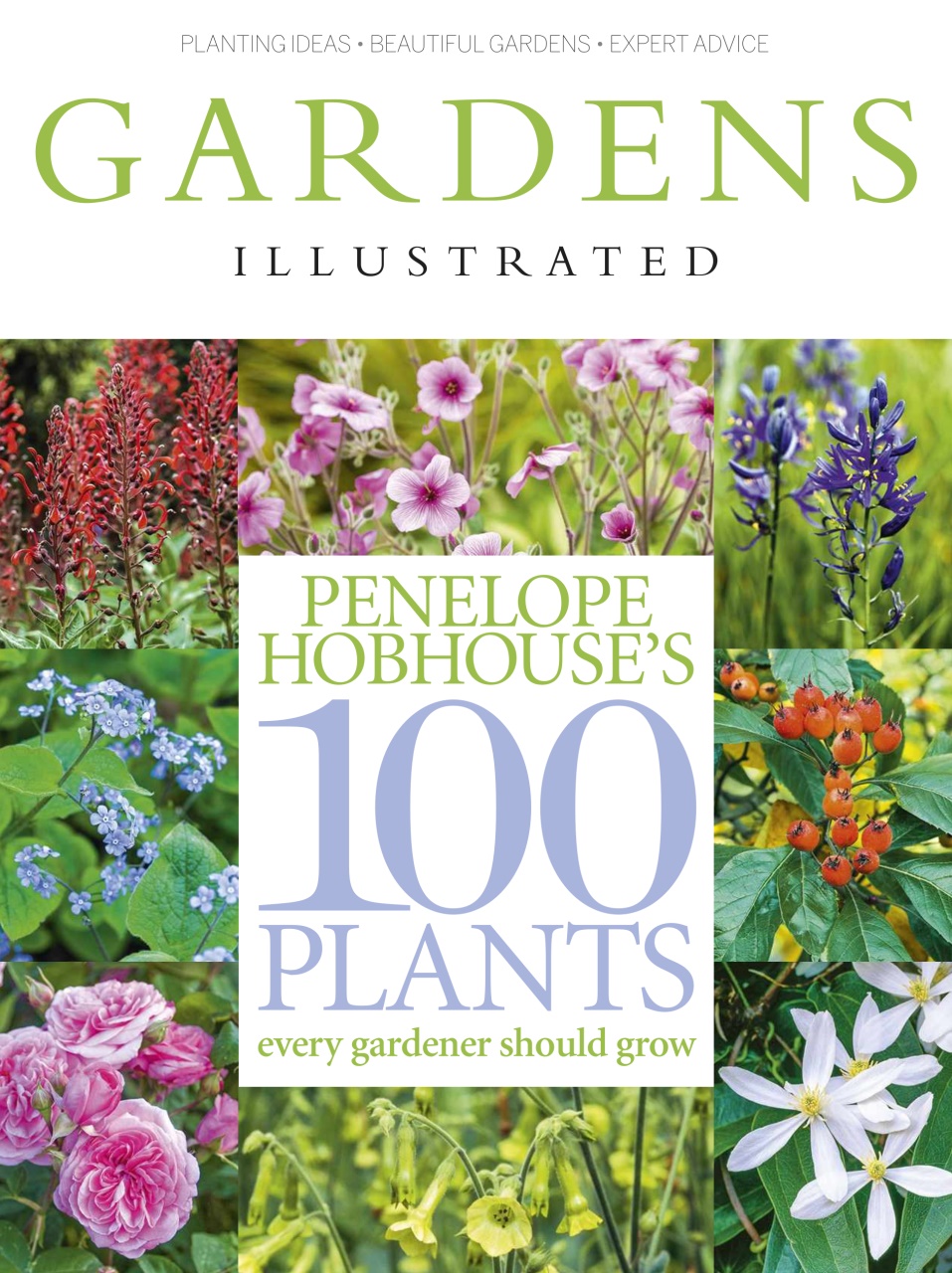 Gardens Illustrated Preview Pages
