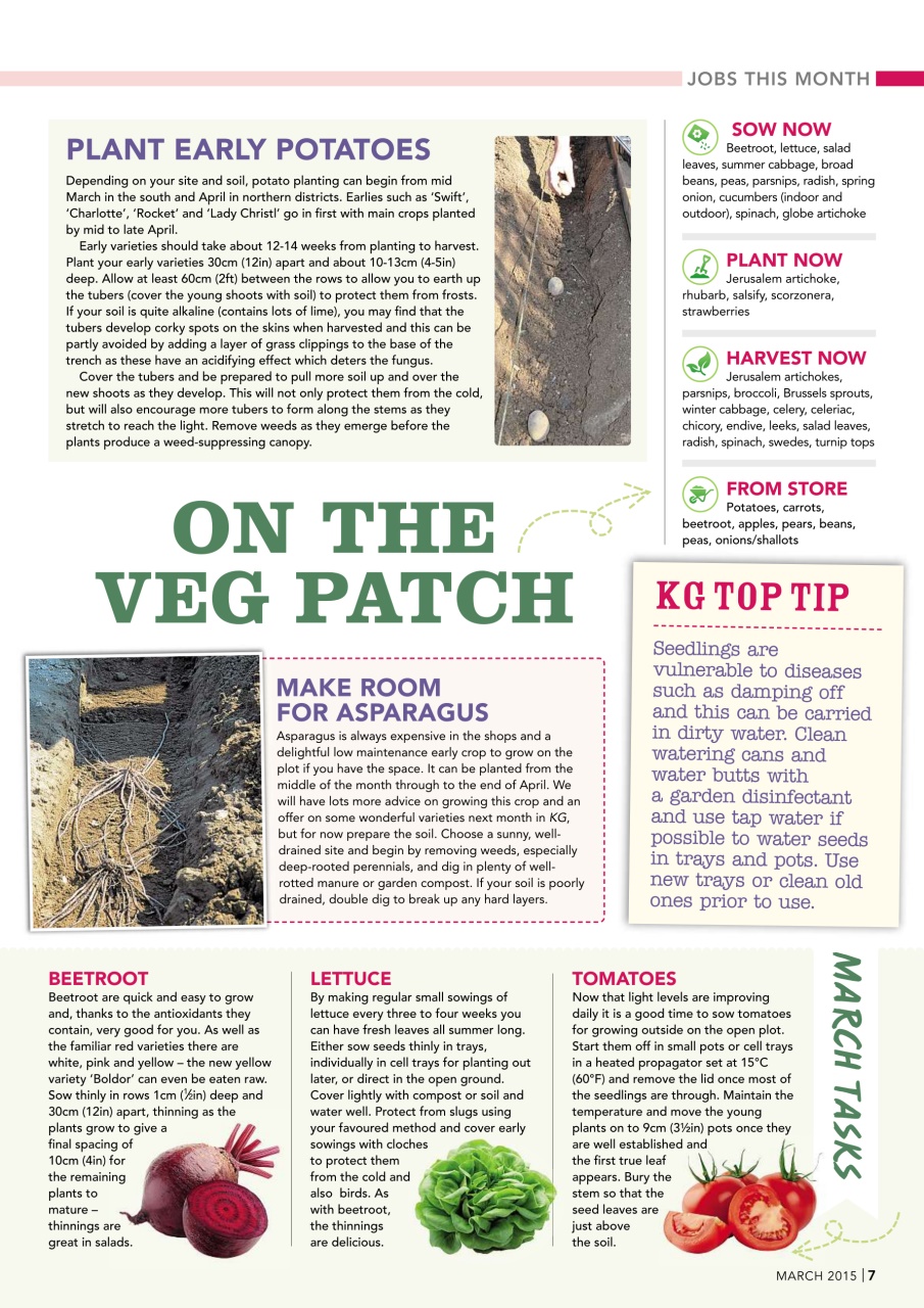 Kitchen Garden Magazine Preview Pages