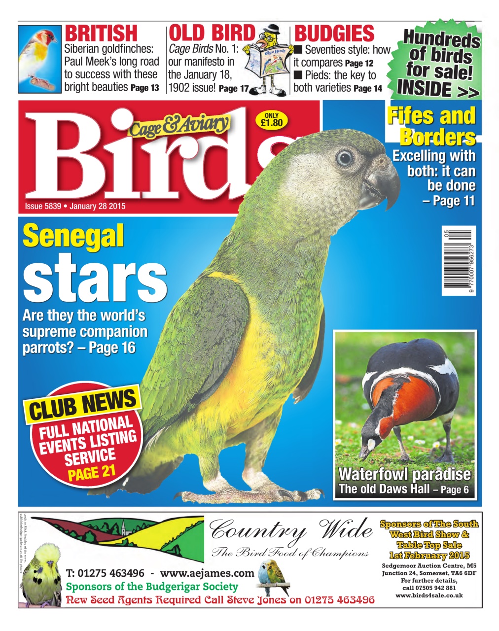 Cage & Aviary Birds Preview Pages
