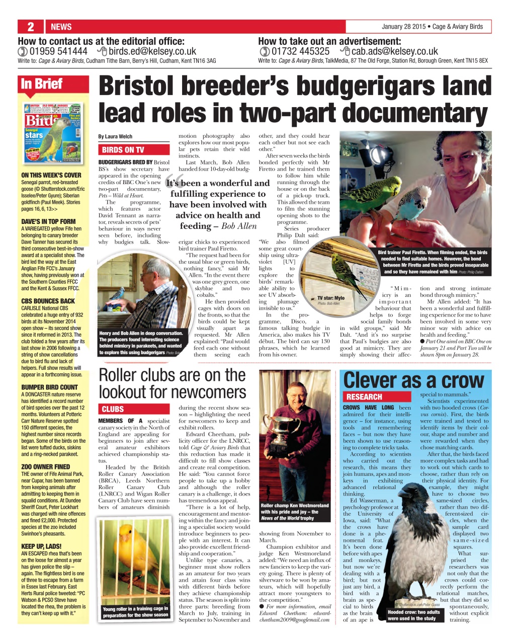 Cage & Aviary Birds Preview Pages