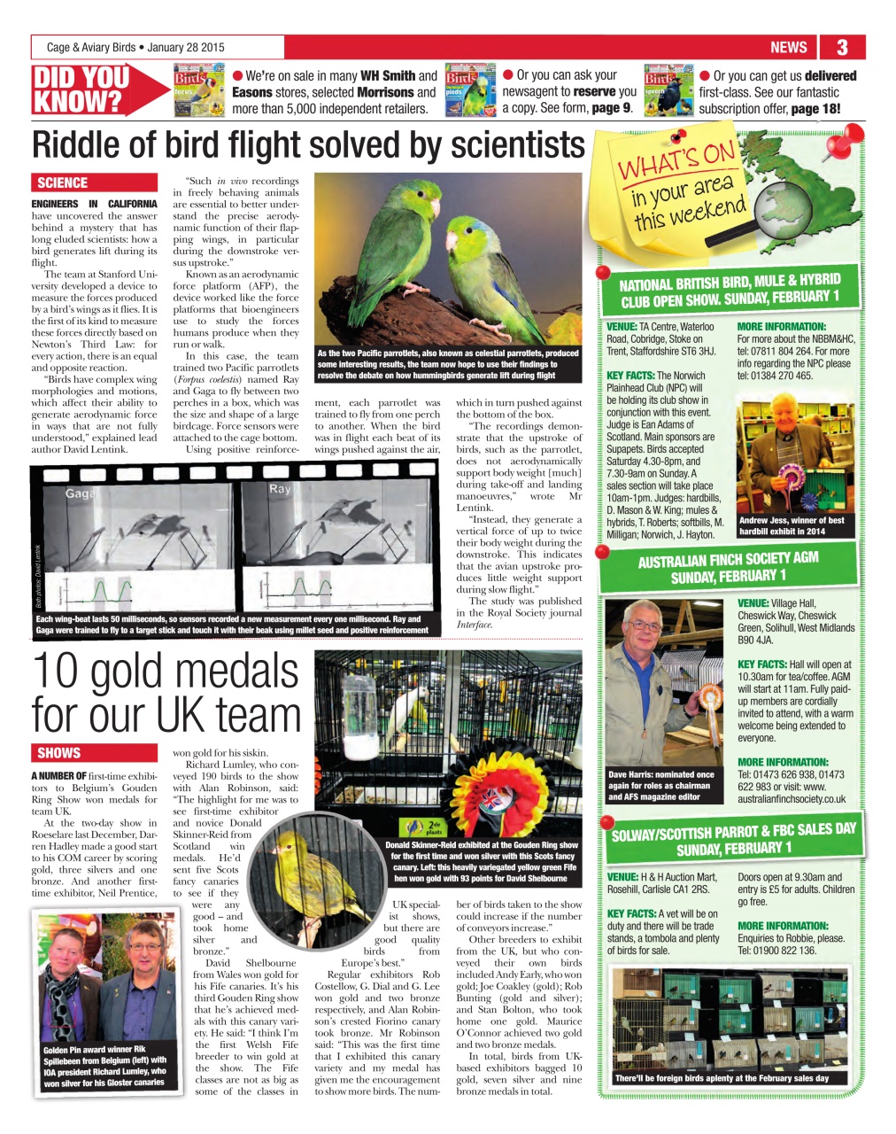 Cage & Aviary Birds Preview Pages