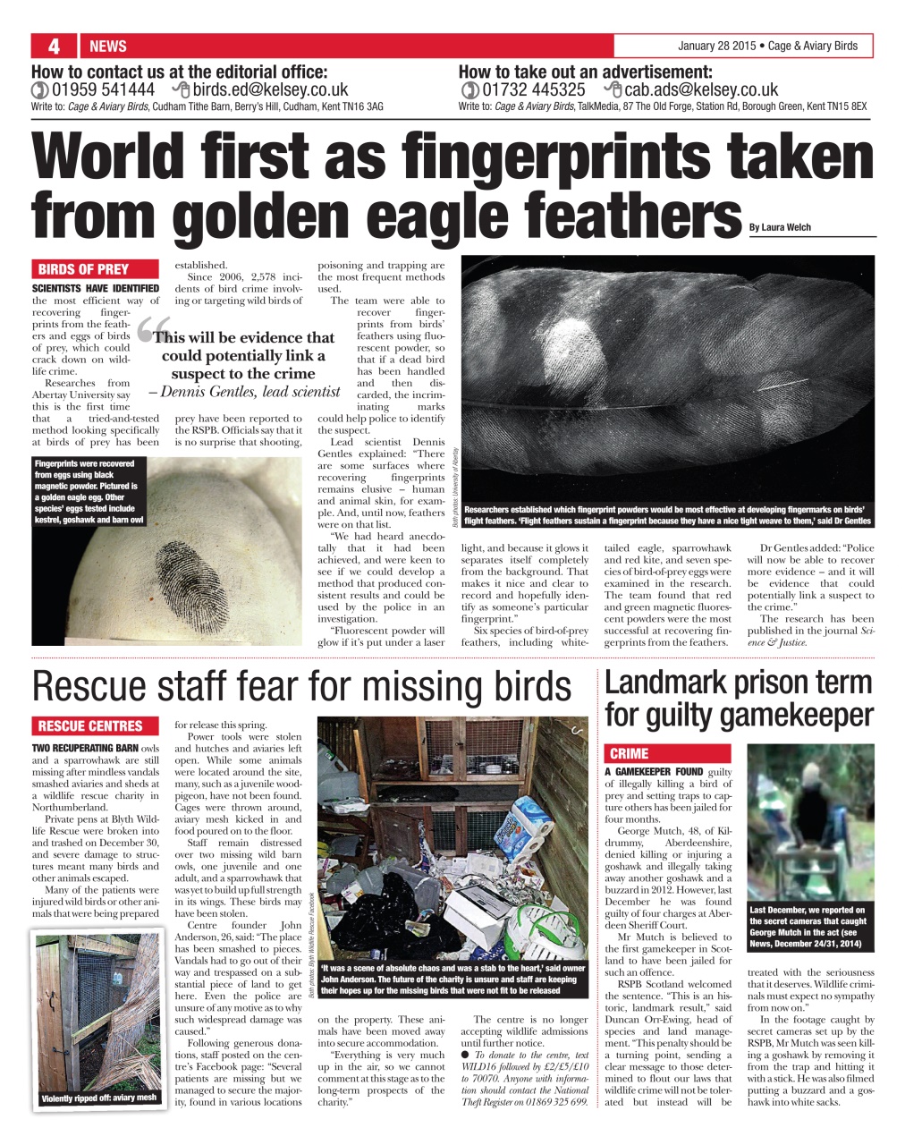 Cage & Aviary Birds Preview Pages
