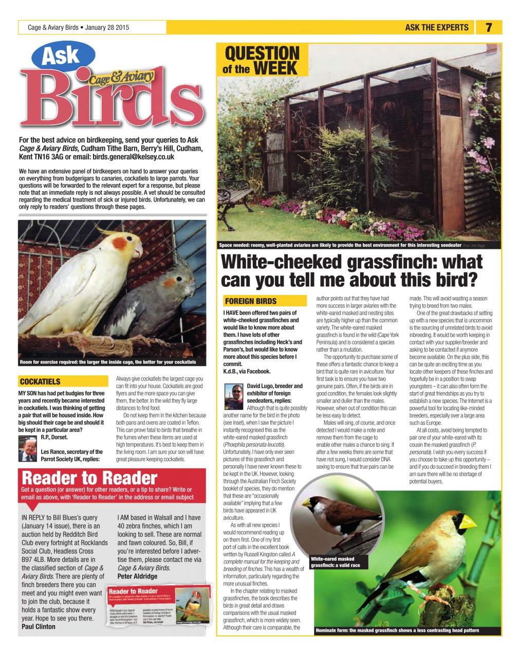 Cage & Aviary Birds Preview Pages