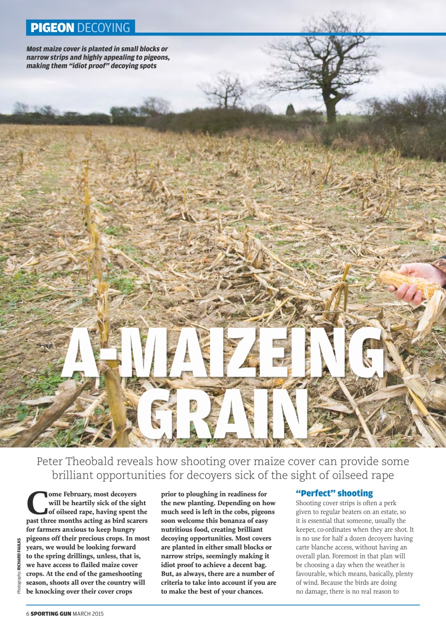 Sporting Gun Preview Pages