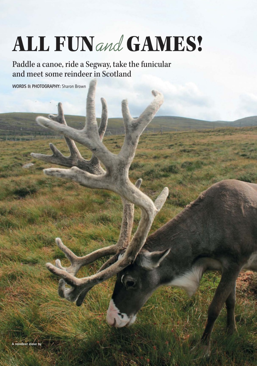 MMM magazine Preview Pages