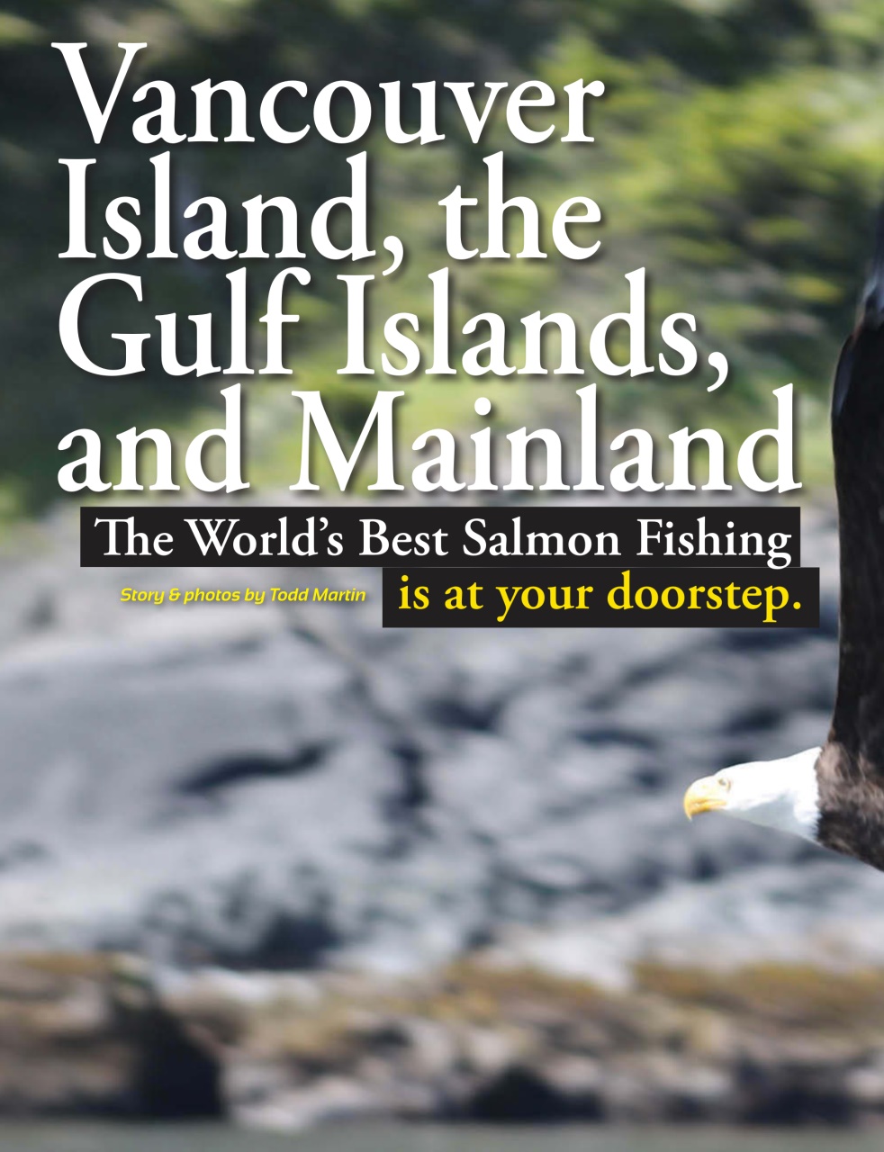 Sport Fishing Guides Preview Pages