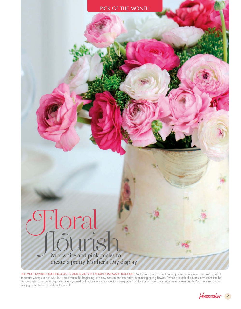 Homemaker Preview Pages