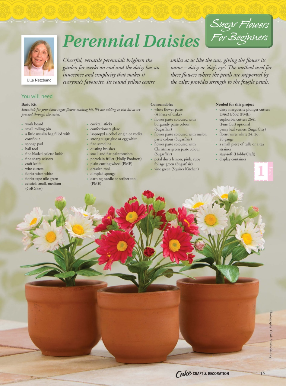 Cake Decoration & Sugarcraft Magazine Preview Pages