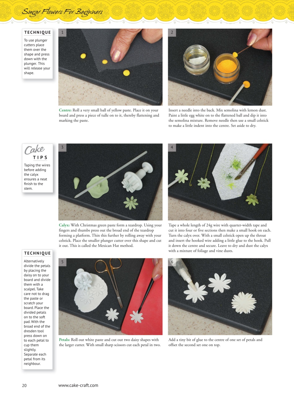 Cake Decoration & Sugarcraft Magazine Preview Pages