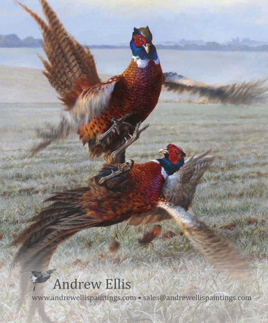 Fieldsports Journal Preview Pages