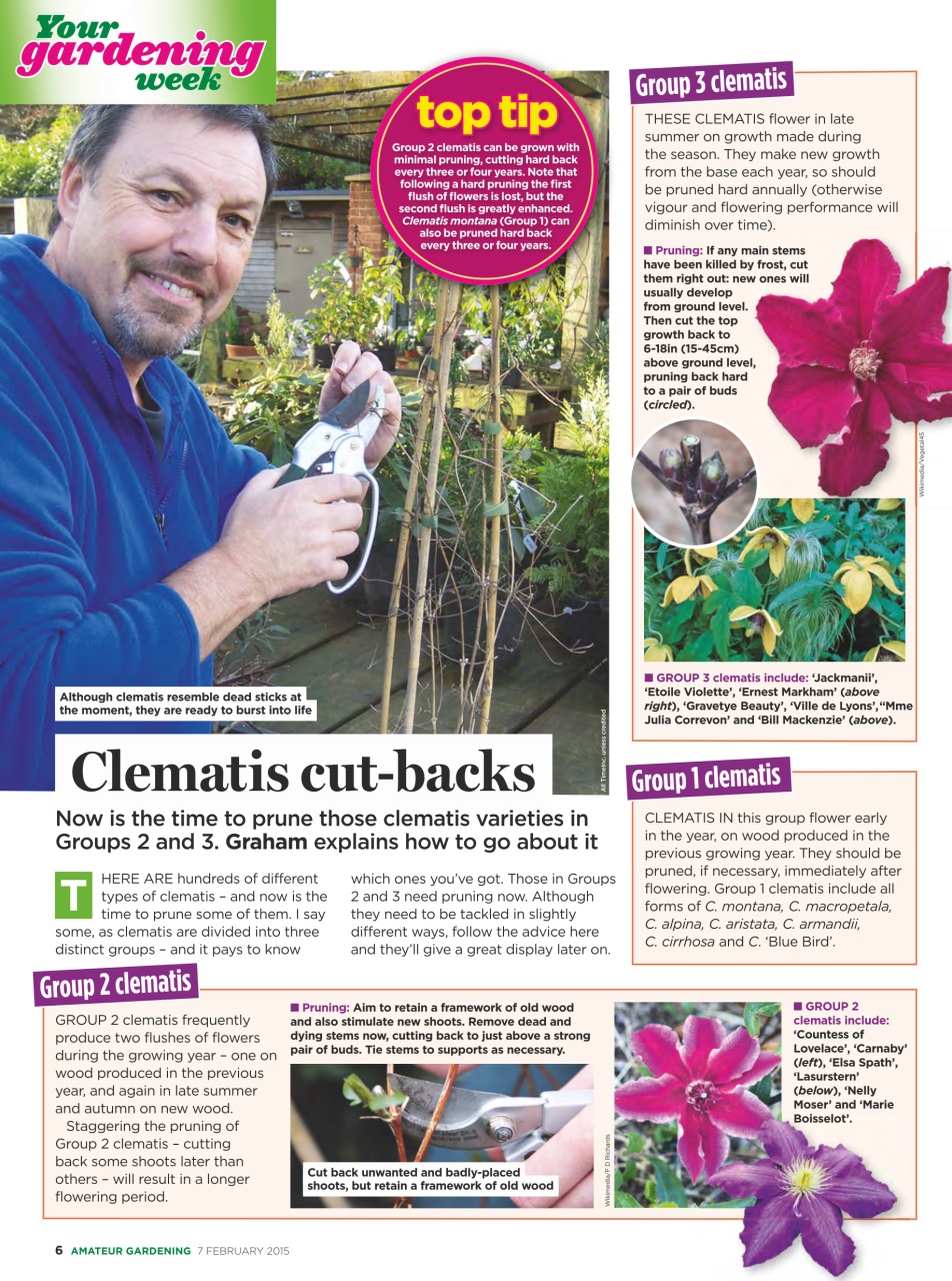 Amateur Gardening Preview Pages