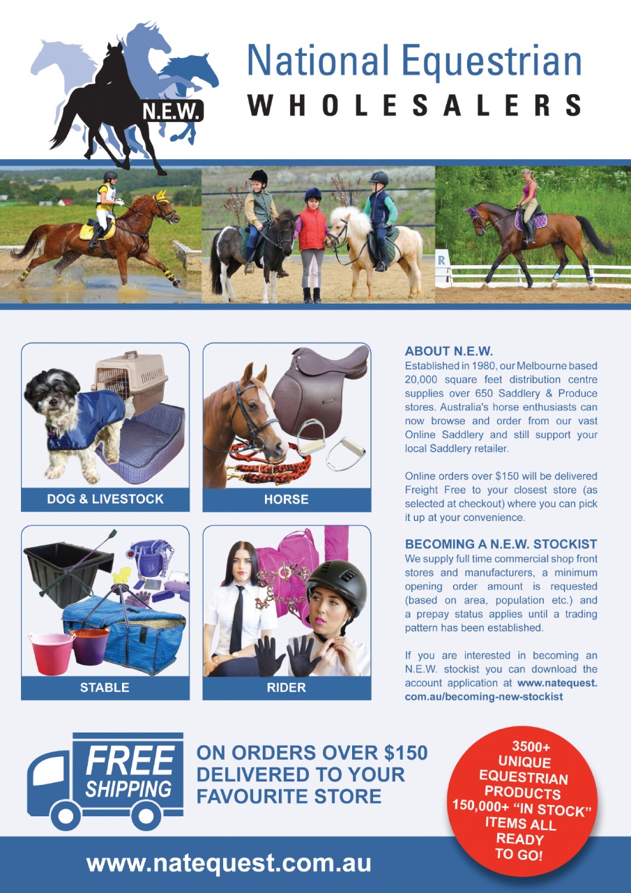 HorseWyse Magazine Preview Pages