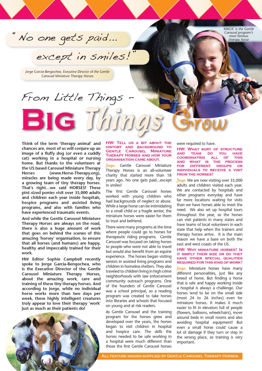 HorseWyse Magazine Preview Pages