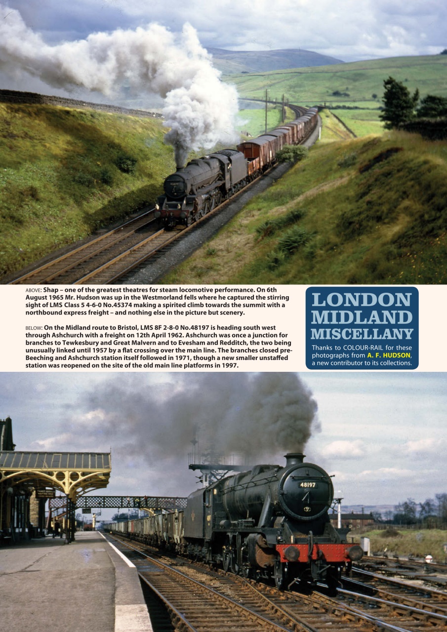 Backtrack Preview Pages