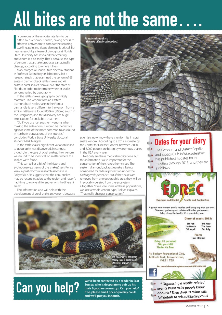 Practical Reptile Keeping Preview Pages